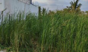 Terreno en venta en sector Castelnuovo, Parroquia Atacames Esmeraldas.