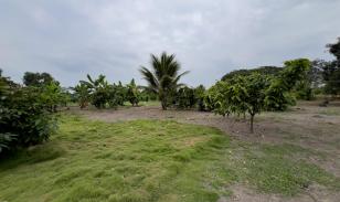 Venta de Terreno Urbano en Chone