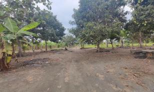 Terreno Residencial con Vivienda – Vía Chone-Boyacá, Chone