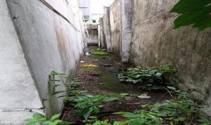 Casa en Cdla. El Mamey