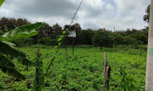 Lote de terreno en Same