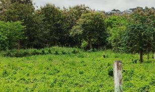 Lote de terreno en Same
