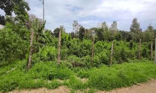 Lote de terreno en Same