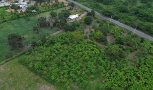 Terreno Urbano para Desarrollo – Vía Chone-Boyacá, Chone