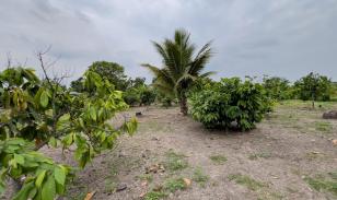 Terreno Urbano para Desarrollo – Vía Chone-Boyacá, Chone