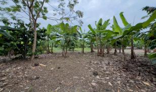 Terreno Urbano para Desarrollo – Vía Chone-Boyacá, Chone