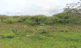 Terreno amplio con excelente frente – 2.866 m² en Las Brisas, Durán LOTE 58