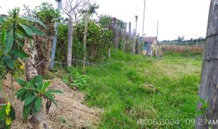 Terreno de venta en Aloasí