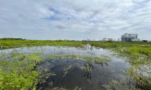 Terreno económico de 2.905 m² – Ideal para desarrollo logístico en Durán Lote 70