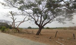 Terrenos en  Guayas, Daule, Nobol lotización los canales Km 5