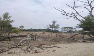 Terrenos en  Guayas, Daule, Nobol lotización los canales Km 5