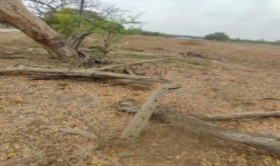 Terrenos en  Guayas, Daule, Nobol lotización los canales Km 5