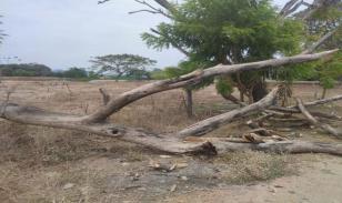 Terrenos en  Guayas, Daule, Nobol lotización los canales Km 5