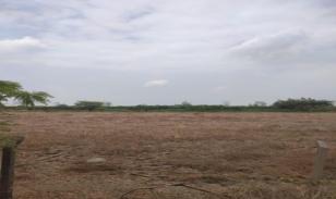 Terrenos en  Guayas, Daule, Nobol lotización los canales Km 5
