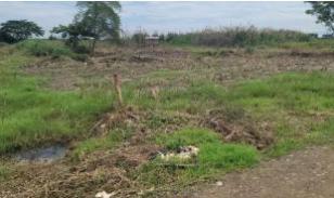 Terreno en  la Calle Tercera Longitudinal, Sector Lotización Sara Cavero El Oro . Santa Rosa 200 m2