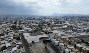 Planta de Extracción y Refinación de Aceite Vegetal en Venta