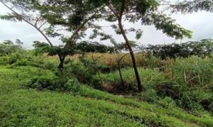 Oportunidad de inversión: terreno de 3.000 m² en sector industrial de Durán LOTE 68