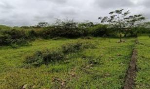 Terreno de 3.000 m² en zona industrial consolidada – Las Brisas, Durán LOTE 57